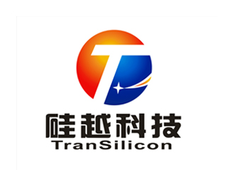 郑浩的杭州硅越科技有限公司，英文名称Transilicon Technology Inc.logo设计
