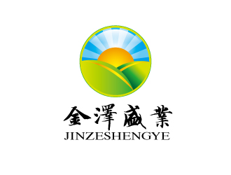 杨剑的北京金泽盛业商业服务有限公司logo设计