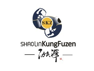 杨占斌的少林功夫禅 shaolin kungfu zenlogo设计