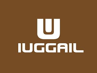 范振飞的logo设计