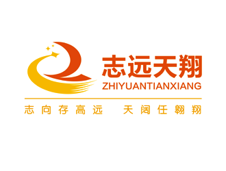 谭家强的志远天翔logo设计logo设计
