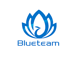 范振飞的Blueteam Logologo设计