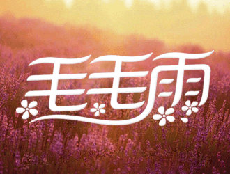 王云飞的毛毛雨礼仪庆典公司logo设计