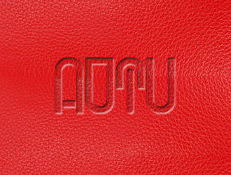 张发国的AOTU皮具英文字体商标设计logo设计