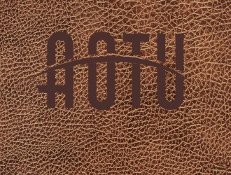 韦百战的AOTU皮具英文字体商标设计logo设计