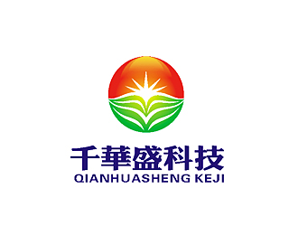 刘涛的千华盛科技logo设计