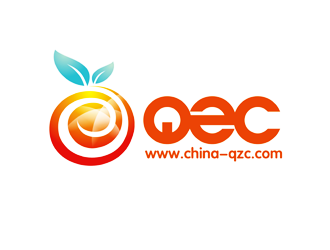 谭家强的新昌县青之橙电子科技有限公司logo设计