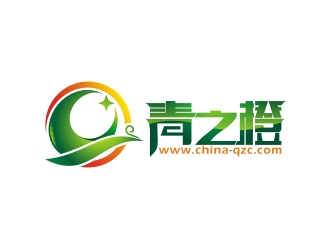 何嘉健的新昌县青之橙电子科技有限公司logo设计