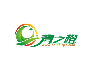 何嘉健的新昌县青之橙电子科技有限公司logo设计