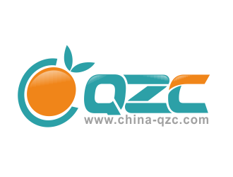 林思源的新昌县青之橙电子科技有限公司logo设计