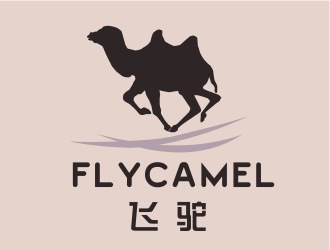 招智江的logo设计