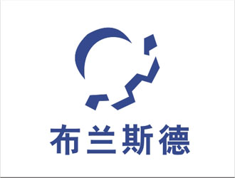 招智江的布兰斯德logologo设计