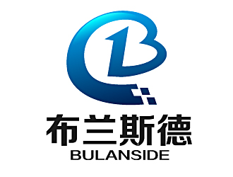 白冰的布兰斯德logologo设计