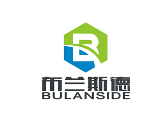 许明慧的布兰斯德logologo设计