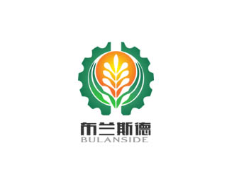郭庆忠的布兰斯德logologo设计