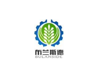 布兰斯德logologo设计