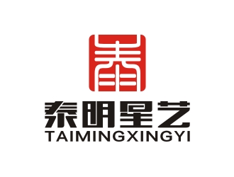何嘉健的北京泰明星艺科技发展有限公司logo设计