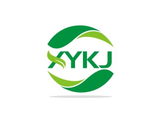 李泉辉的XYKJ商标设计logo设计