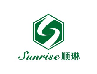 李泉辉的天津顺琳科技有限公司logo设计