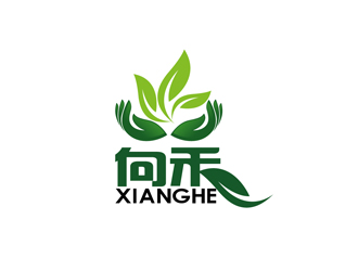 秦晓东的logo设计