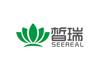 赵鹏的皙瑞阳光 美容医院logo设计
