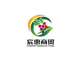 张晓明的重庆市宸惠商贸有限公司logo设计