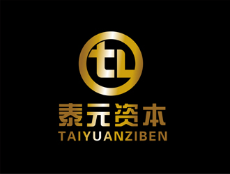 陈今朝的北京泰元资本管理有限公司logo设计