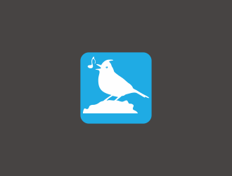 林思源的百灵 App图标logo设计
