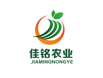 陈今朝的logo设计