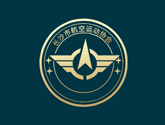 朱兵的长沙市航空运动协会logo设计