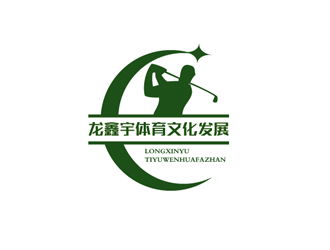 秦晓东的东莞市龙鑫宇体育文化发展有限公司logo设计
