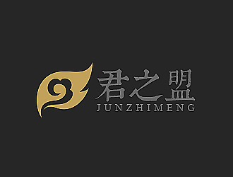 柳辉腾的湖南君之盟电子商务有限公司logo设计