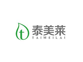 柳辉腾的泰美莱logo设计