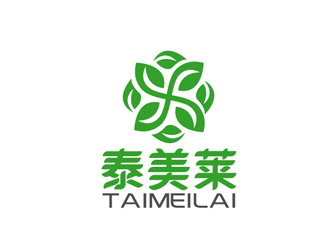 秦晓东的泰美莱logo设计
