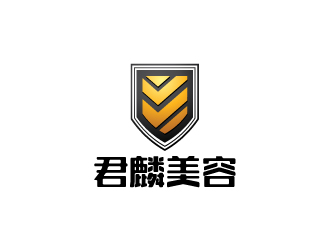 陈兆松的logo设计