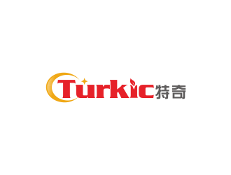 汤儒娟的中文名：特奇；      英文名：Turkiclogo设计