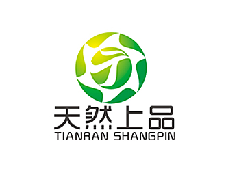 赵鹏的天然上品生态农业发展有限公司logo设计