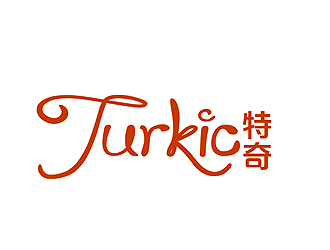 盛铭的中文名：特奇；      英文名：Turkiclogo设计