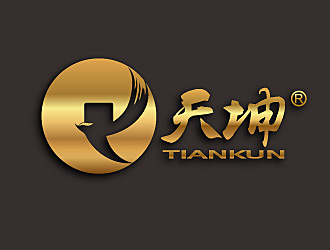黎明锋的天坤（公司名称：珠海天坤旅游有限公司）logo设计