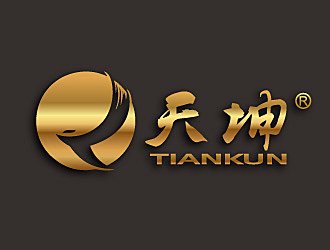 黎明锋的天坤（公司名称：珠海天坤旅游有限公司）logo设计