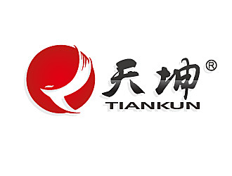 天坤（公司名称：珠海天坤旅游有限公司）logo设计