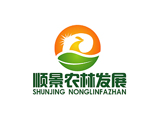 秦晓东的logo设计