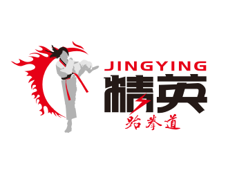 姜彦海的精英跆拳道馆标志logo设计