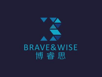 Brave&Wise博睿思咨询公司logologo设计