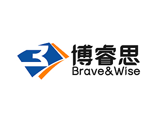 秦晓东的Brave&Wise博睿思咨询公司logologo设计