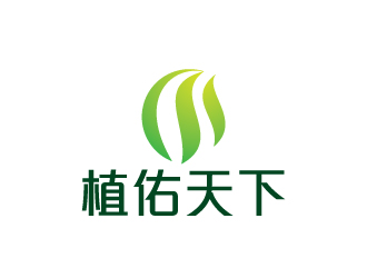 陈兆松的logo设计