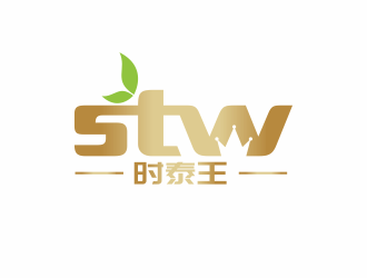 林思源的乌鲁木齐时泰王贸易有限公司logo设计