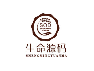 朱红娟的生命源码logo设计