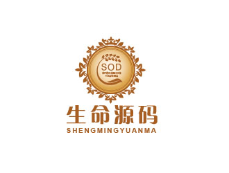 朱红娟的生命源码logo设计