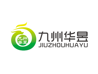 赵鹏的九州华昱珠宝企业logo设计logo设计